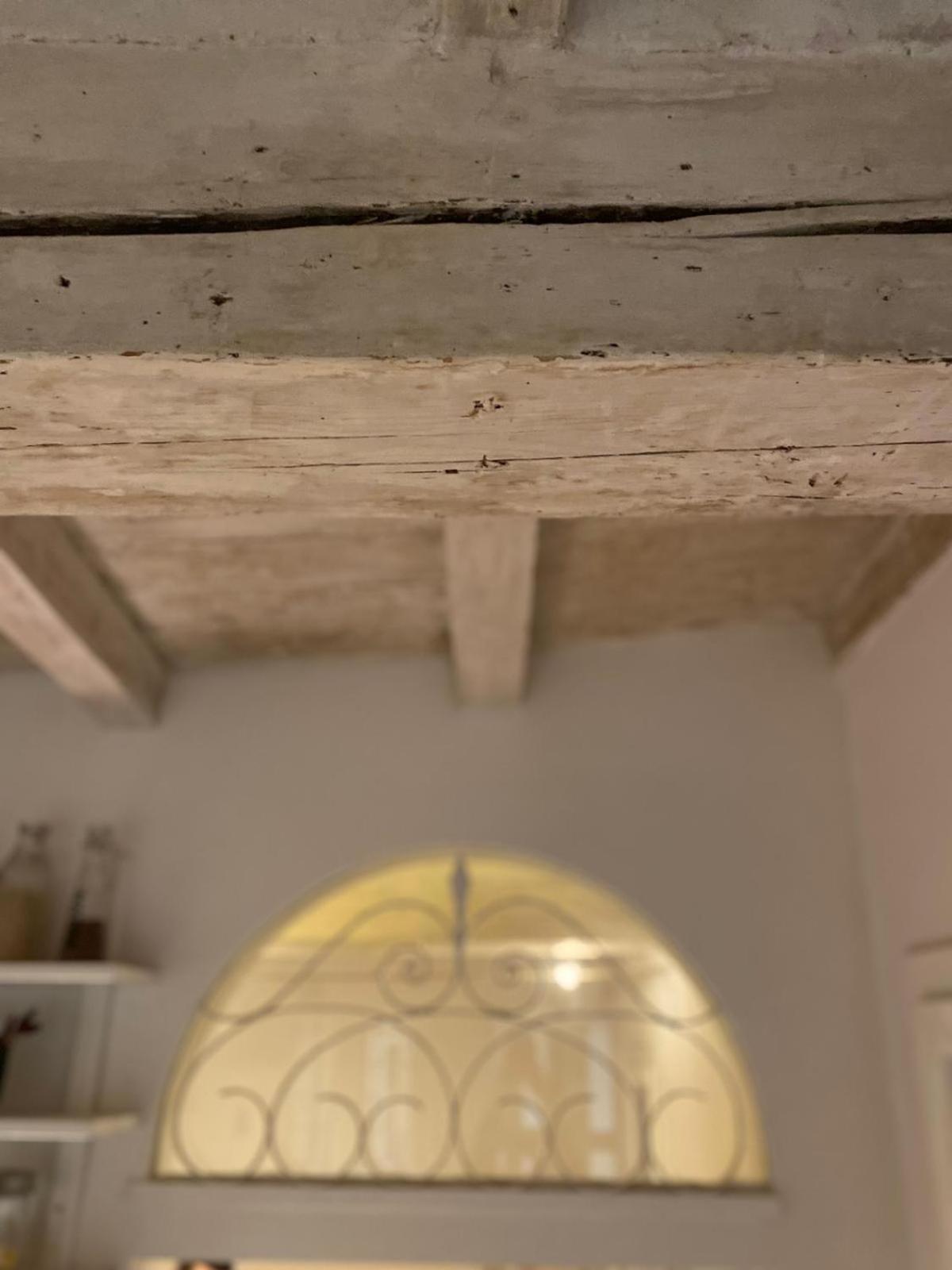 Casina Centotrecento-Romantic & Quite Apartment- โบโลญญา ภายนอก รูปภาพ